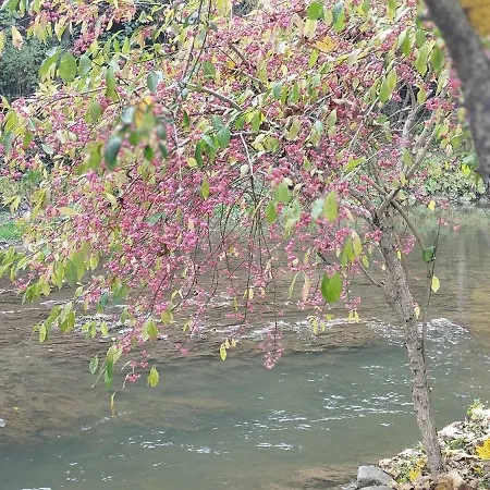 біля річки * Izki