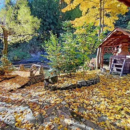 біля річки