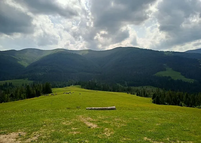 别墅 біля річки 艾兹基