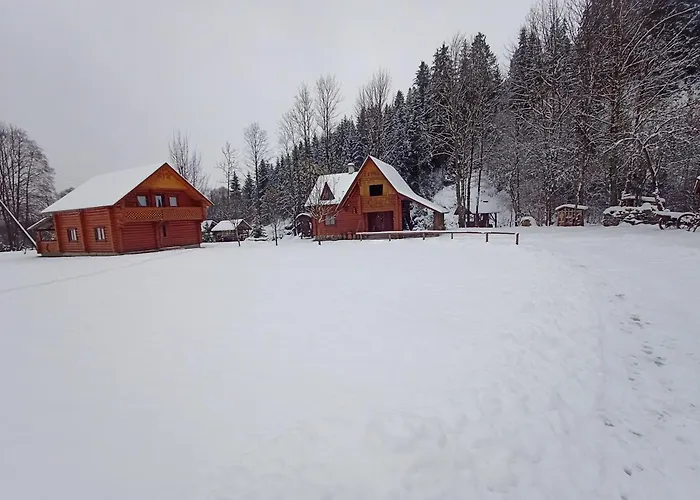 别墅 біля річки